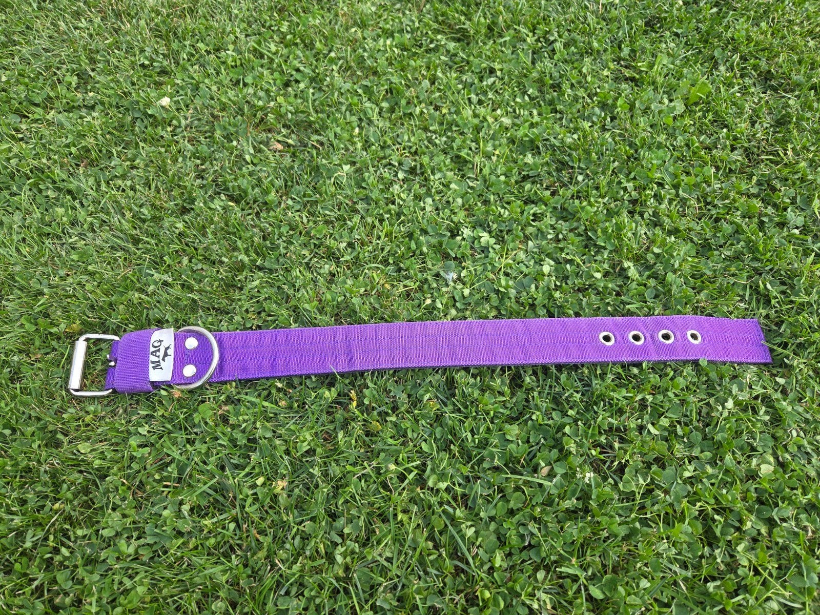 MAG halsband paars, Dieren en Toebehoren, Ophalen of Verzenden, Nieuw
