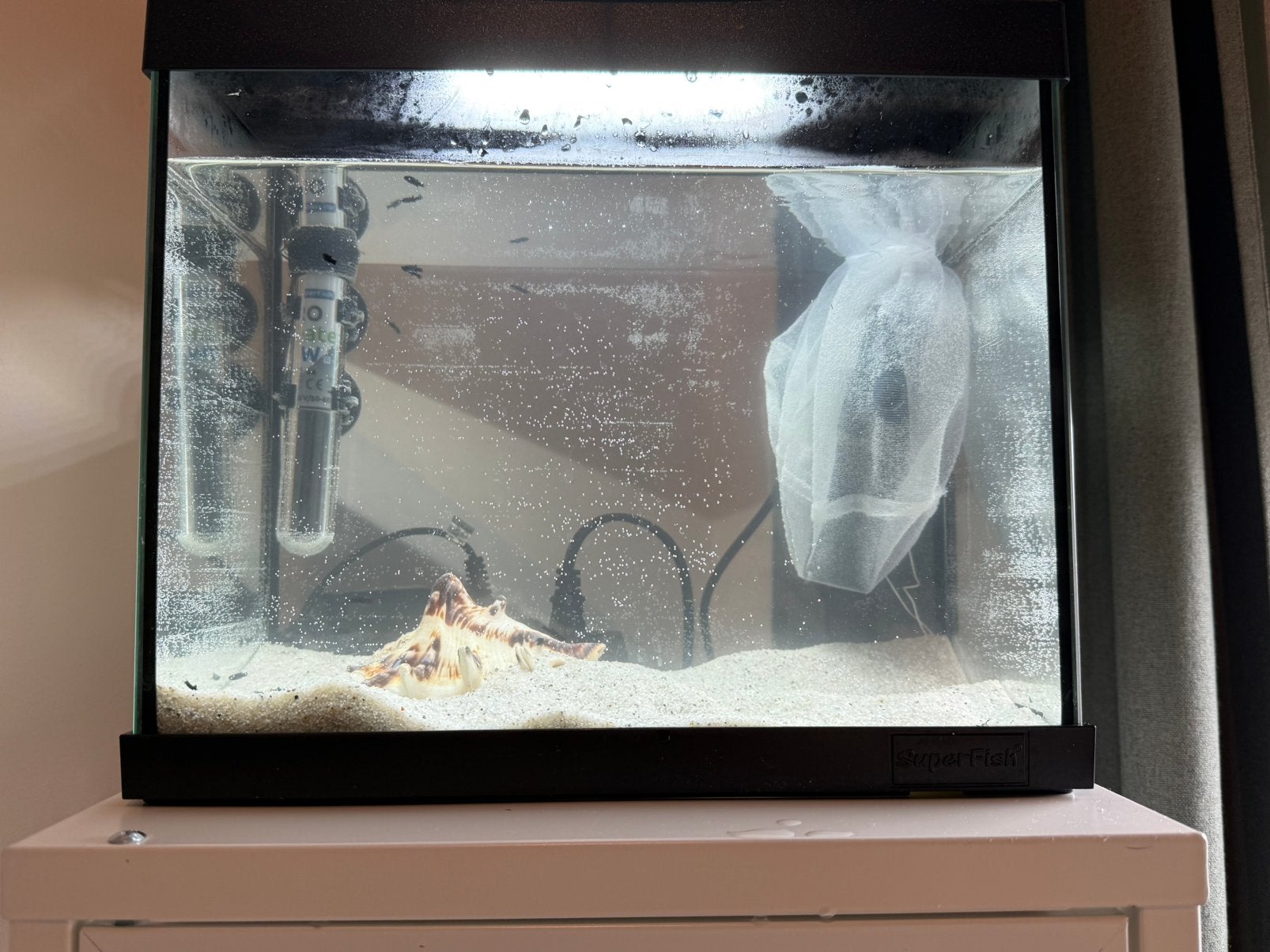 Nagenoeg nieuwe superfish tank., Dieren en Toebehoren, Ophalen, Zo goed als nieuw, Leeg aquarium
