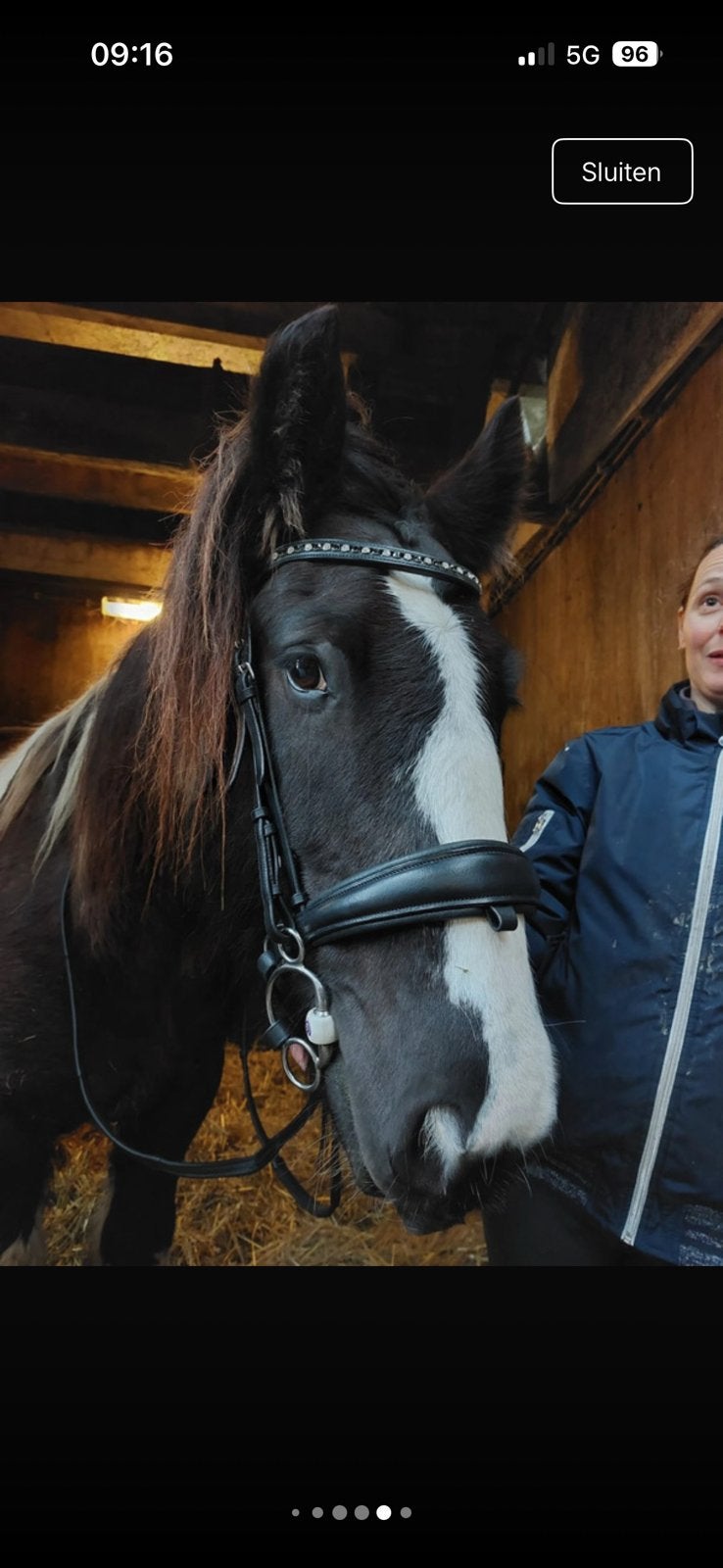 Bridle2fit hoofdstel maat cob. Inclusief trust inno sense, Ophalen of Verzenden, Zo goed als nieuw
