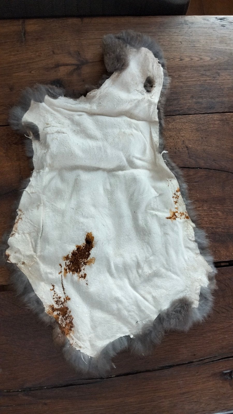 Konijnen vachtje vacht (2), Ophalen of Verzenden