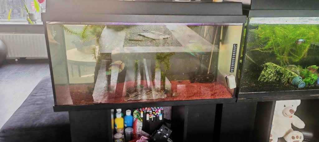 Aqarium, Ophalen, Zo goed als nieuw, Leeg aquarium, Verwarming