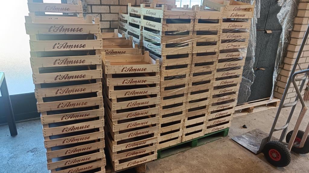 Houten kistjes te koop, Ophalen, Overige houtsoorten, 50 mm of meer, Minder dan 200 cm
