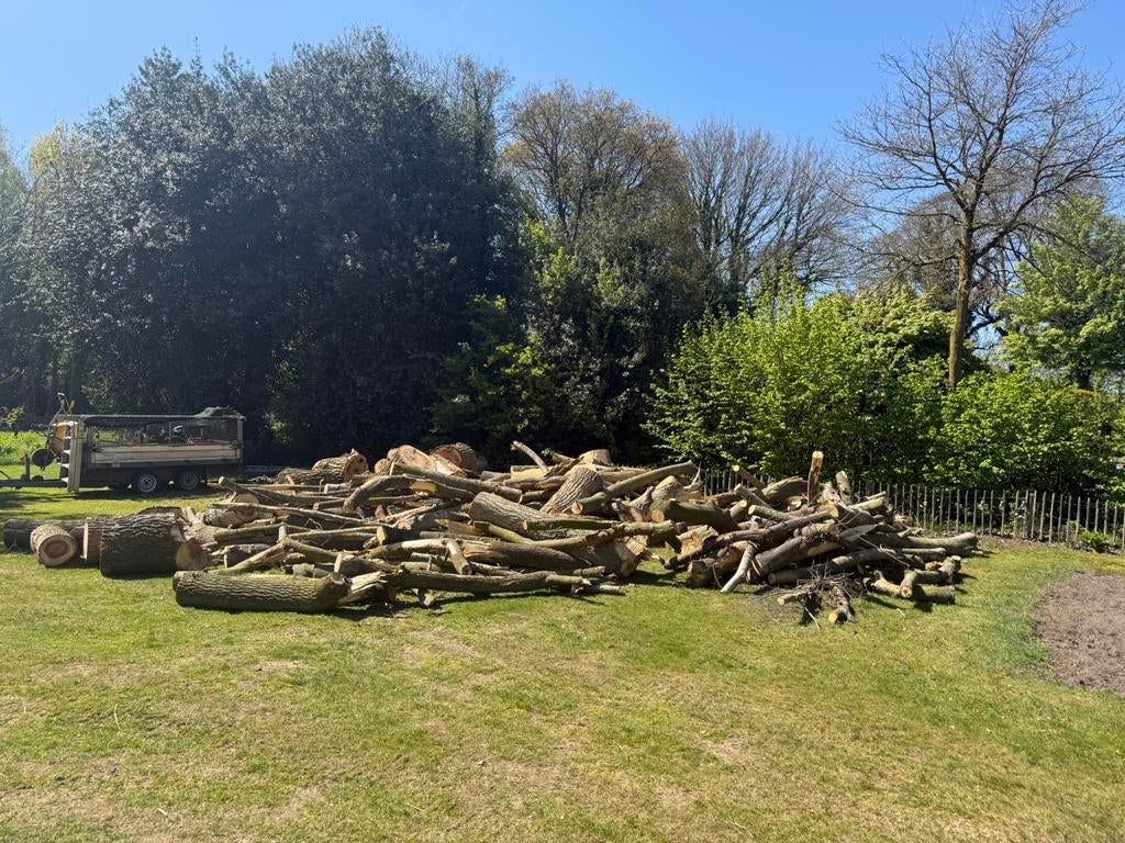 Brandhout Haardhout stammen, Tuin en Terras, Haardhout, Minder dan 3 m³, Ophalen
