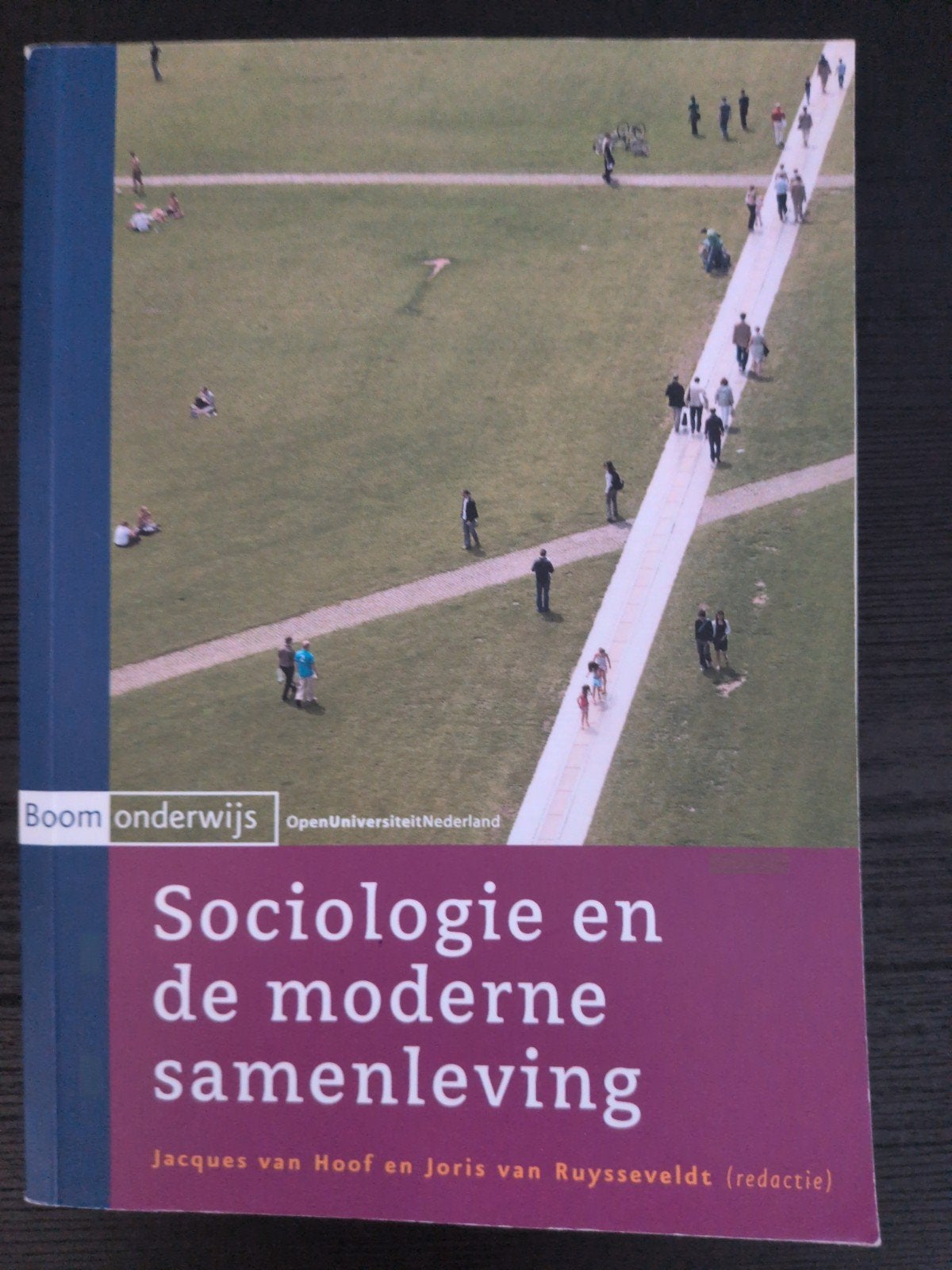 Sociologie en de moderne samenleving - Boom onderwijs, Gelezen, Jacques van Hoof en Joris van Ruysseveldt (redactie), Ophalen of Verzenden