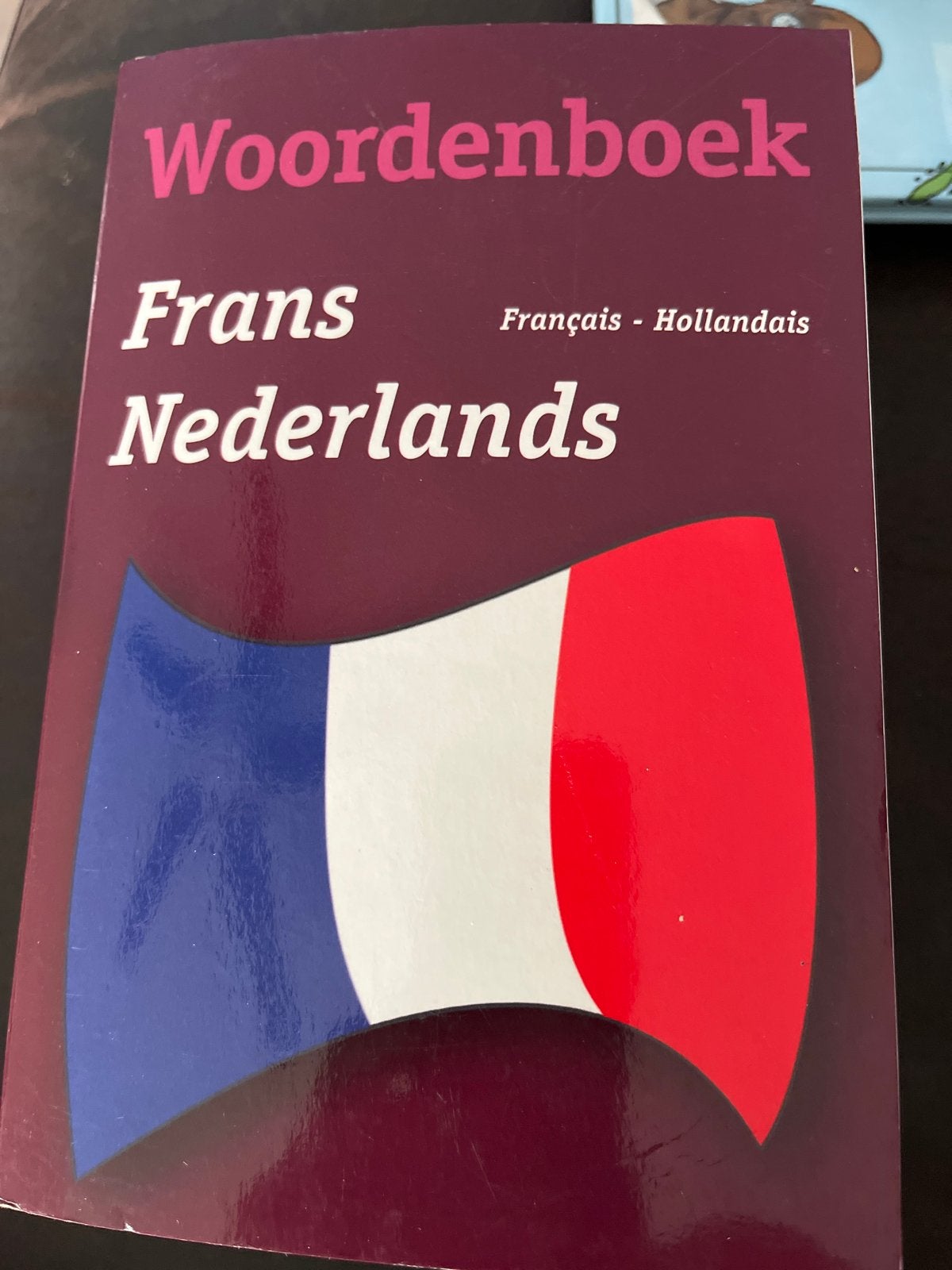 Woordenboek Frans Nederlands - Français Hollandais, Ophalen of Verzenden, Gelezen, Overige uitgevers, Frans