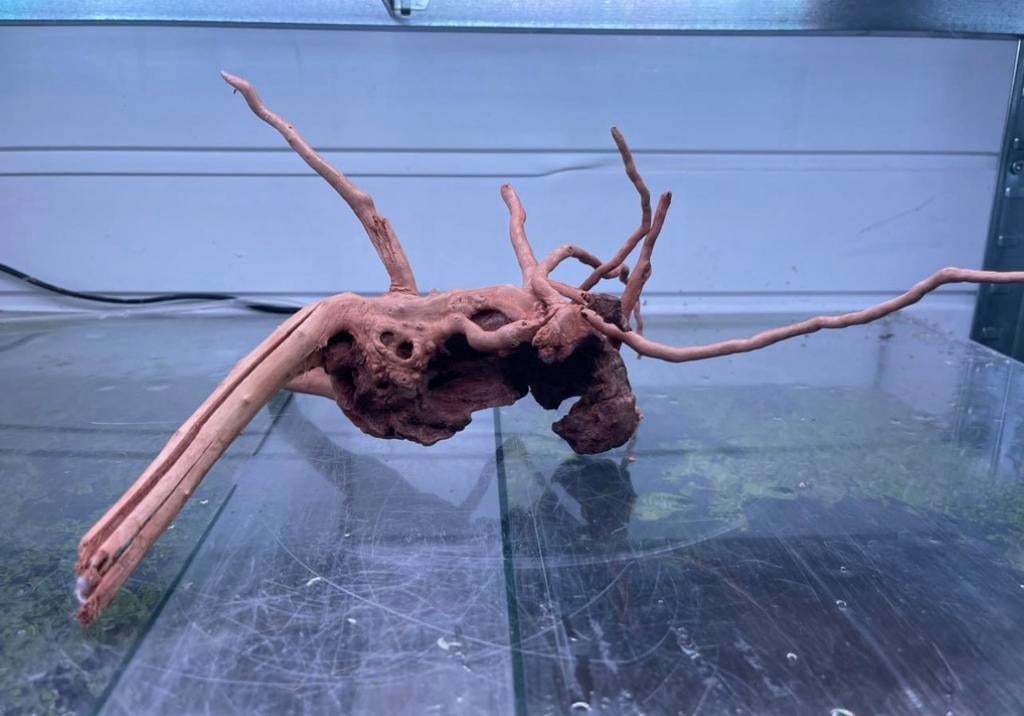 Spiderwood | Aquarium hout, -, Nieuw, Ophalen of Verzenden, -
