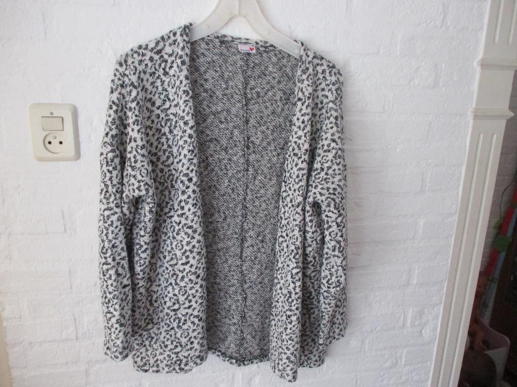 vest of jasje  , maat L, voor 3,50, Kleding | Dames, Ophalen of Verzenden, Zo goed als nieuw, Maat 42/44 (L), Zwart