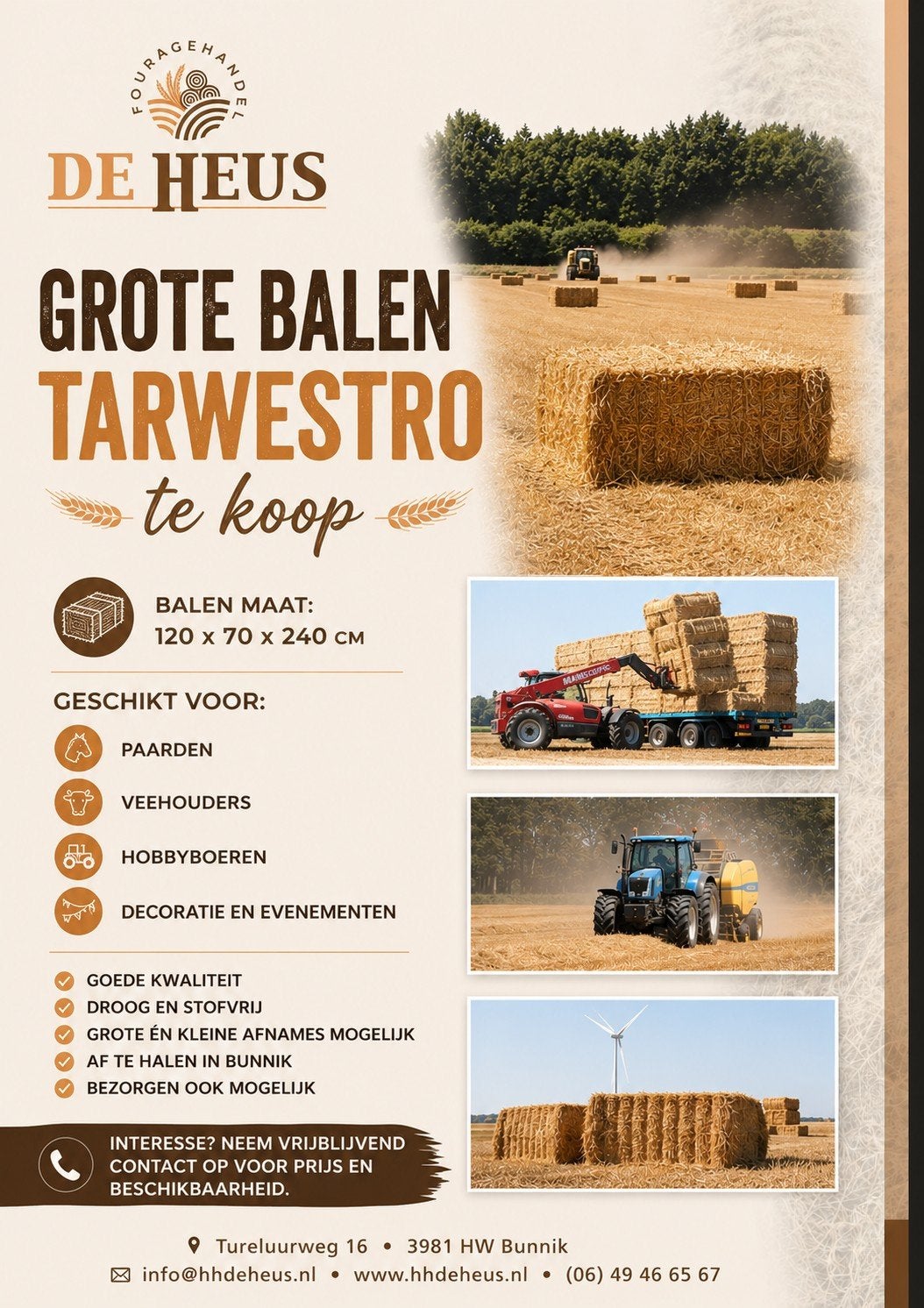Vierkante balen tarwe stro te koop, Dieren en Toebehoren, Ophalen of Verzenden, Vee