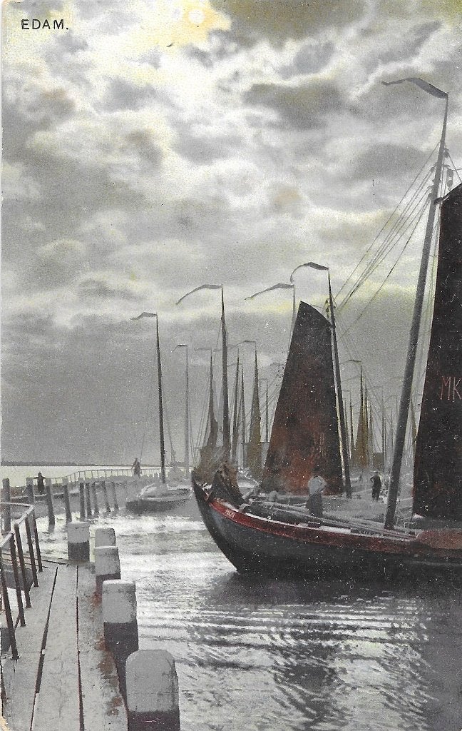 AK Edam - Panorama Zuiderzee, Verzenden, Voor 1920, Gelopen, Noord-Holland