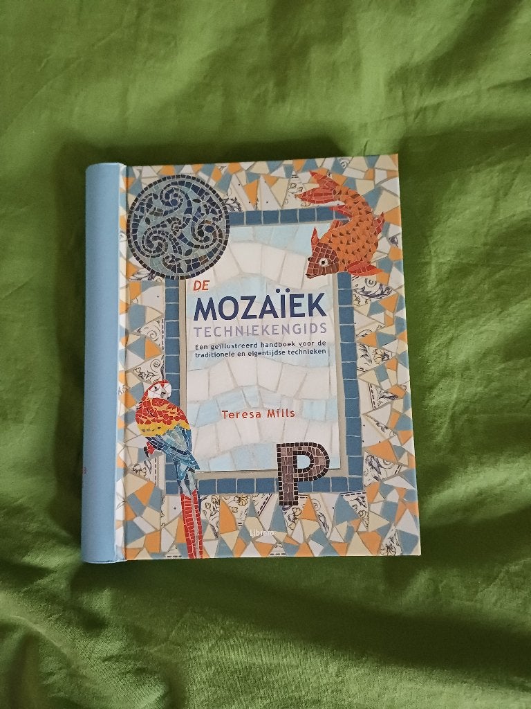 De Mozaïek techniekengids, Ophalen of Verzenden, Overige onderwerpen, Geschikt voor kinderen, Nieuw