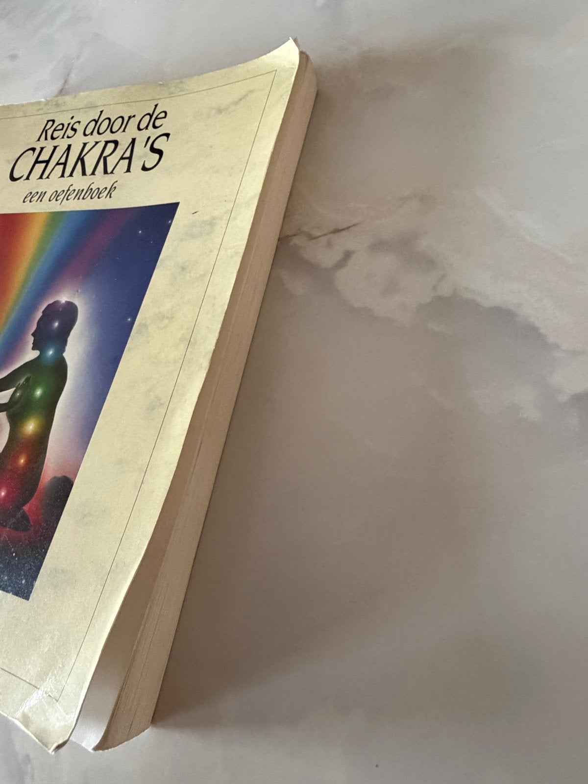 Reis door de Chakra's - Een oefenboek, Ophalen of Verzenden, Gelezen, Spiritualiteit algemeen, Instructieboek