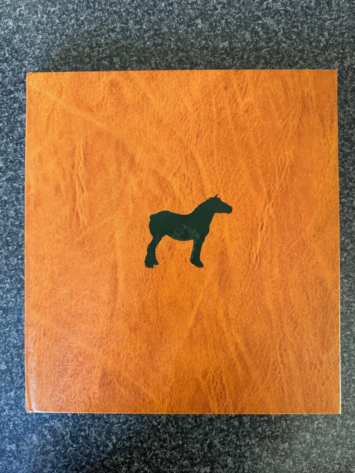 Het Brieschend Paard - inclusief de originele bouwplaat:, Boeken, Ophalen of Verzenden, Zo goed als nieuw, Paarden of Pony's