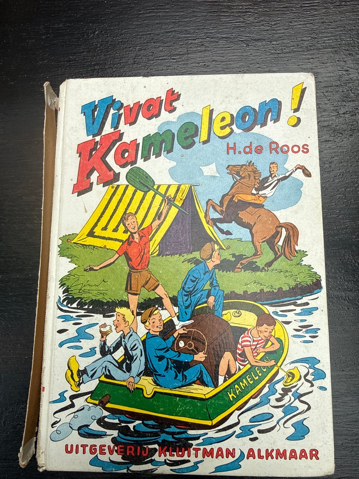 Vivat Kameleon! H. de Roos - Vintage Jeugdboek, Ophalen, Gelezen, Fictie algemeen