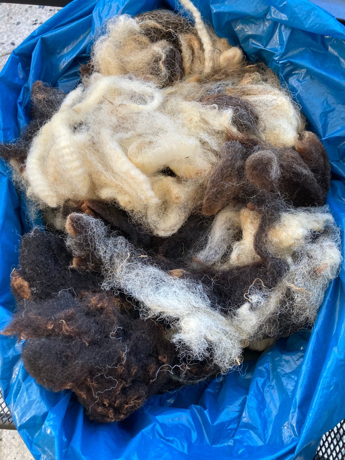 Vachtdeel van Bonte schaap  teab, Hobby en Vrije tijd, Ophalen of Verzenden, Nieuw, Spinwol