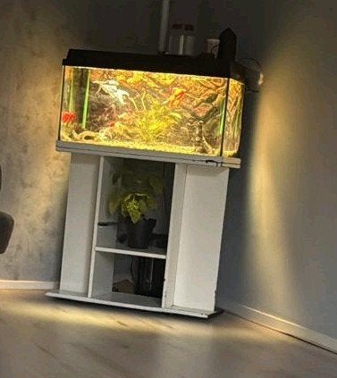 aquarium met ondertafel, Ophalen