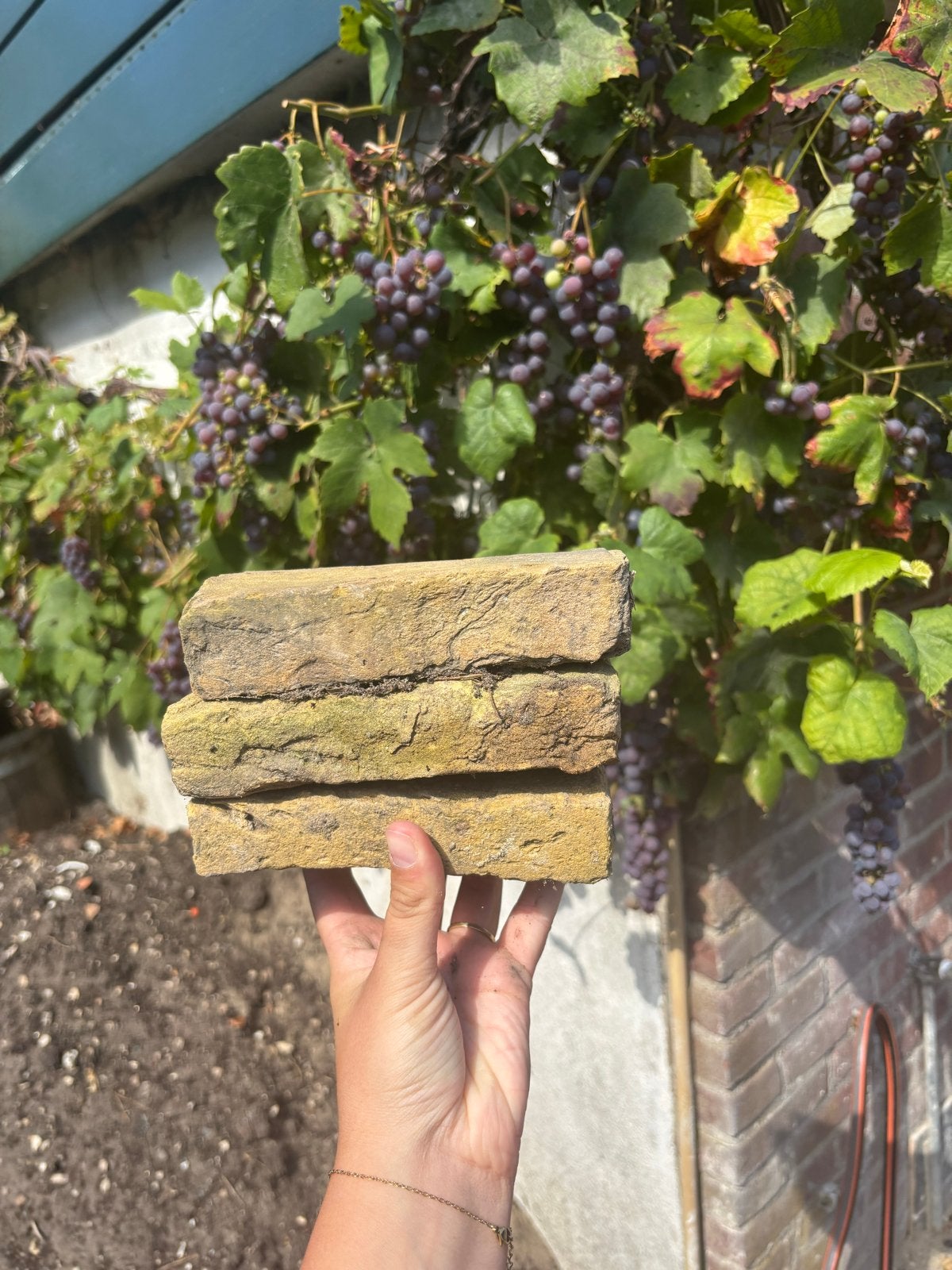 Oude gele ijselsteentjes, Tuin en Terras, Ophalen, Gebruikt, Beton, Klinkers