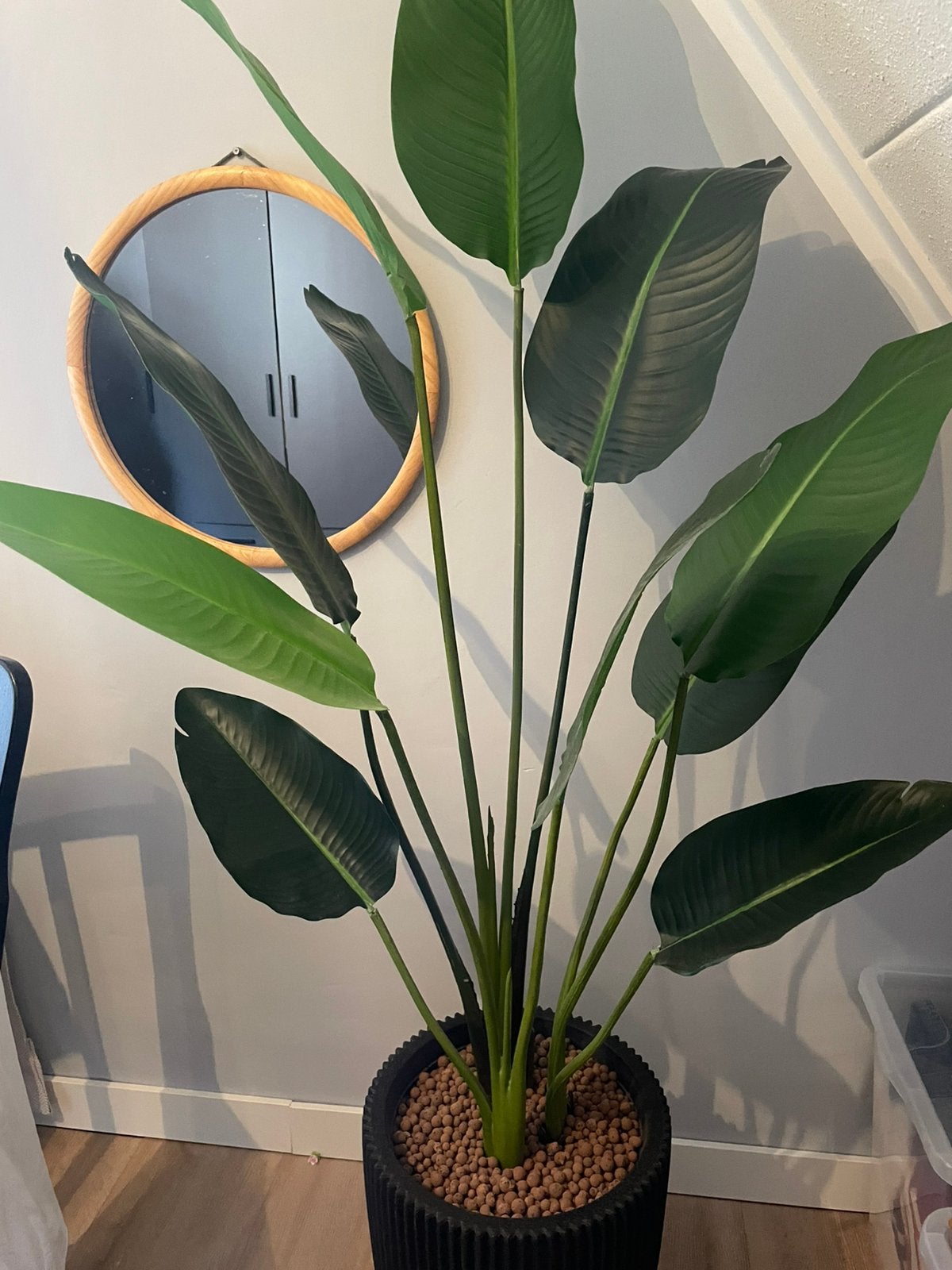 Kunst strelitzia inclusief zwarte Elho pot, Groen, Kunstplant, Nieuw, Overige merken