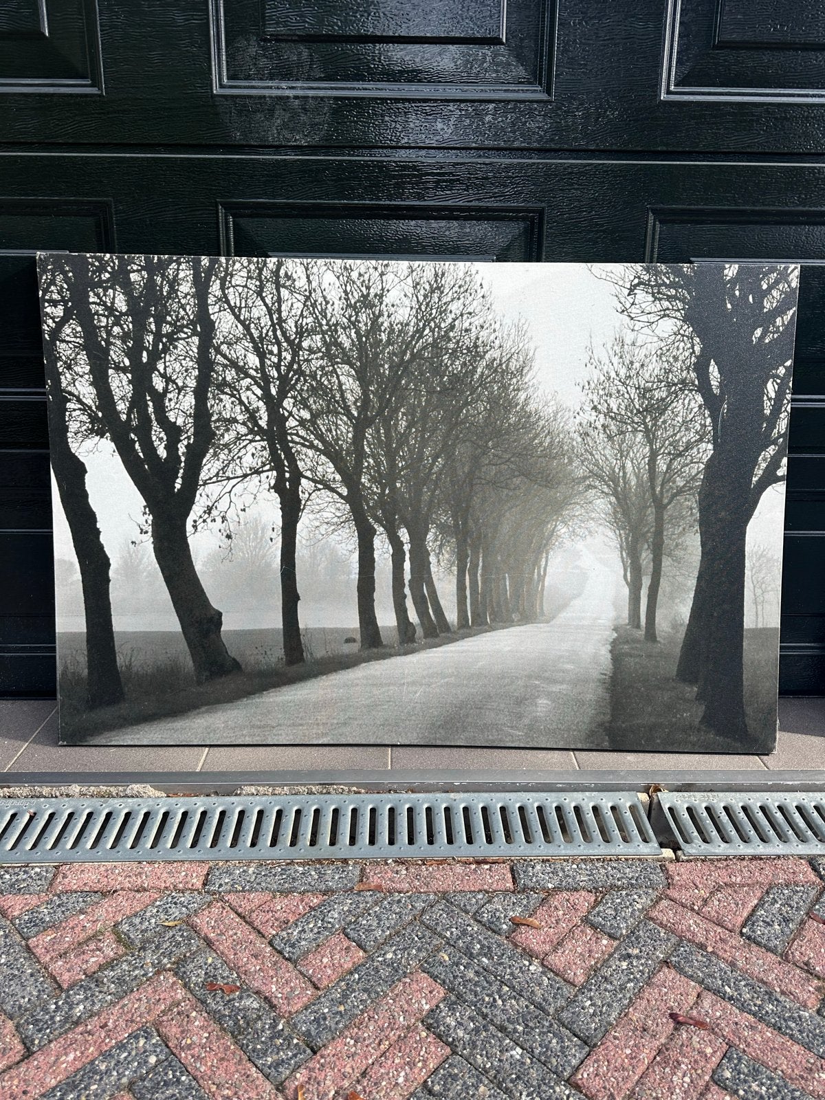IKEA PJÄTTERYD Canvas Schilderij - Mistige Bomenlaan, Gebruikt, Ophalen of Verzenden, Schilderij, 100 tot 125 cm
