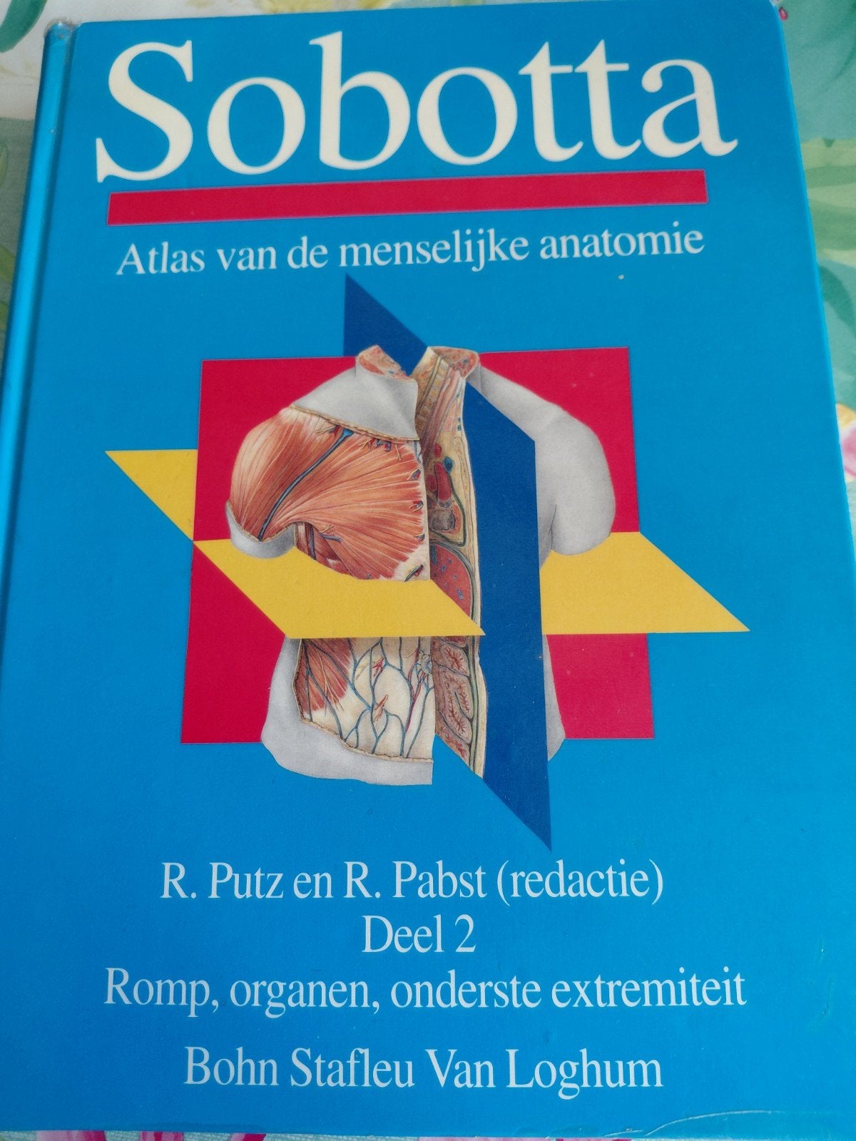 Sobotta Atlas van de menselijke anatomie Deel 2, R. Putz en R. Pabst (redactie), Zo goed als nieuw, Beta, HBO