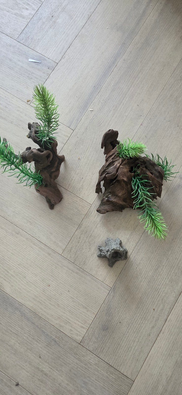 aquarium ornamenten, Dieren en Toebehoren, Ophalen of Verzenden, Plant(en), Steen of Hout