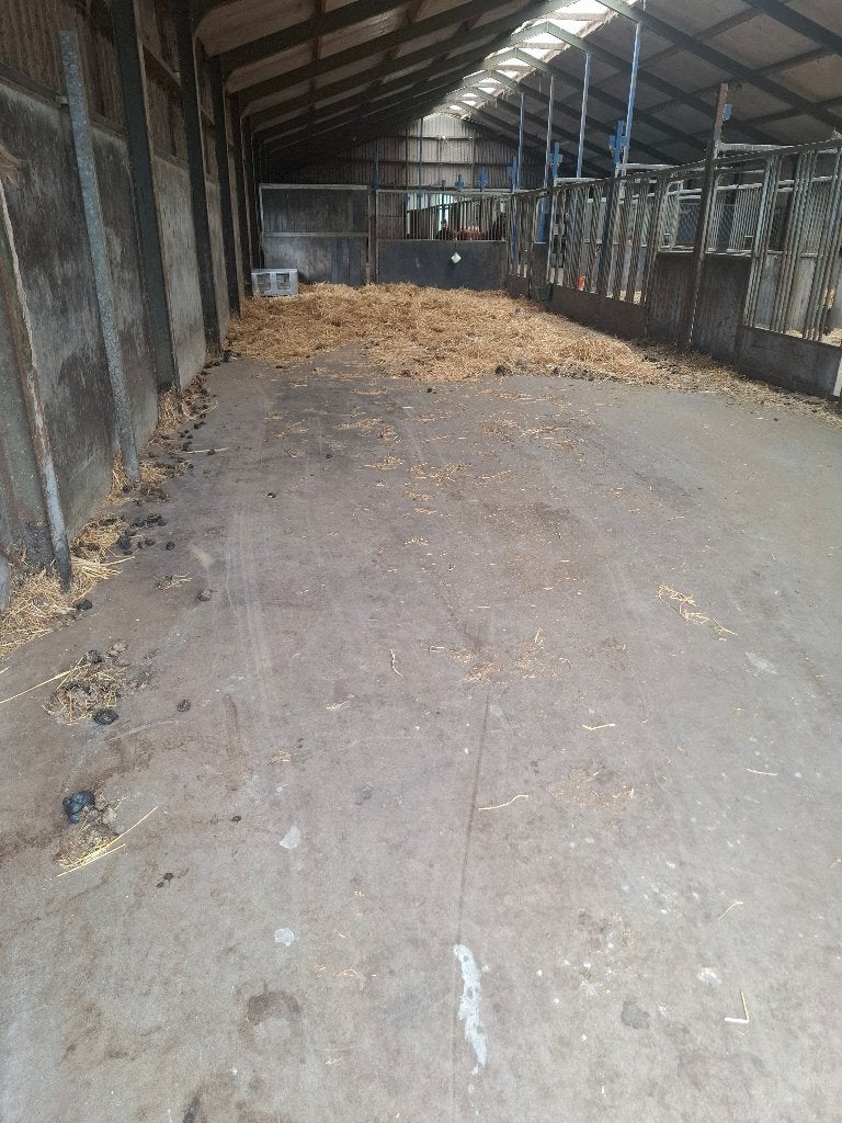 Vakantiepaarden/opfok prachtige locatie voor 4 tot 8 maanden, Dieren en Toebehoren, Weidegang, 4 paarden of pony's of meer