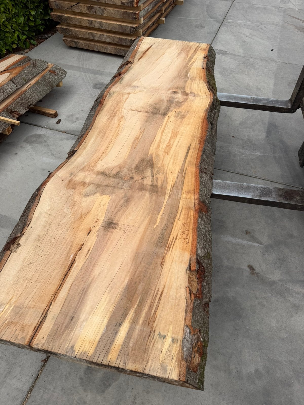 Grote beuken boomstambladen 245x70x7cm, Tuin en Terras, Palen, Balken en Planken, Ophalen, Zo goed als nieuw, 250 cm of meer, Planken