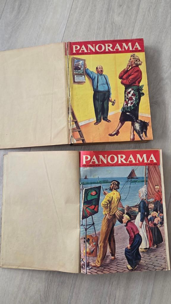 Panorama complete jaargang 1952 (januari t/m december), Boeken, Ophalen, Gelezen