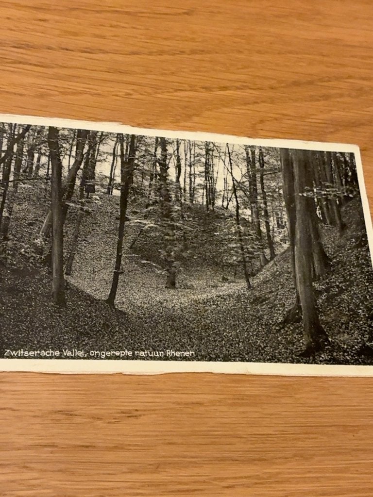 Rhenen Zwitsersche Vallei oude ansichtkaart 1931, Verzamelen, Verzenden, 1920 tot 1940, Gelopen, Utrecht