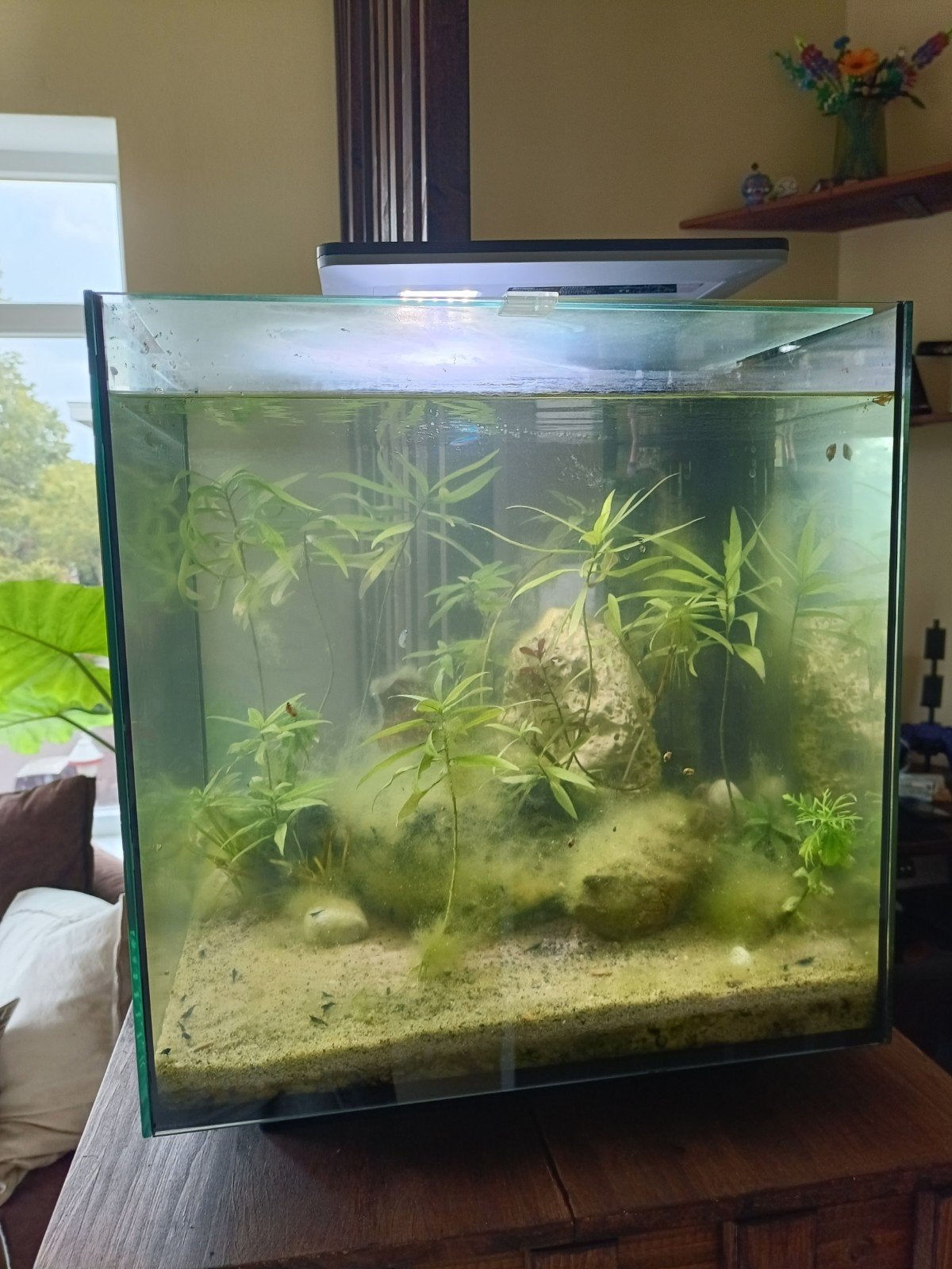 superfish cubiq 60 pro, Dieren en Toebehoren, Vissen | Aquaria en Toebehoren, Ophalen, Zo goed als nieuw, Gevuld zoetwateraquarium