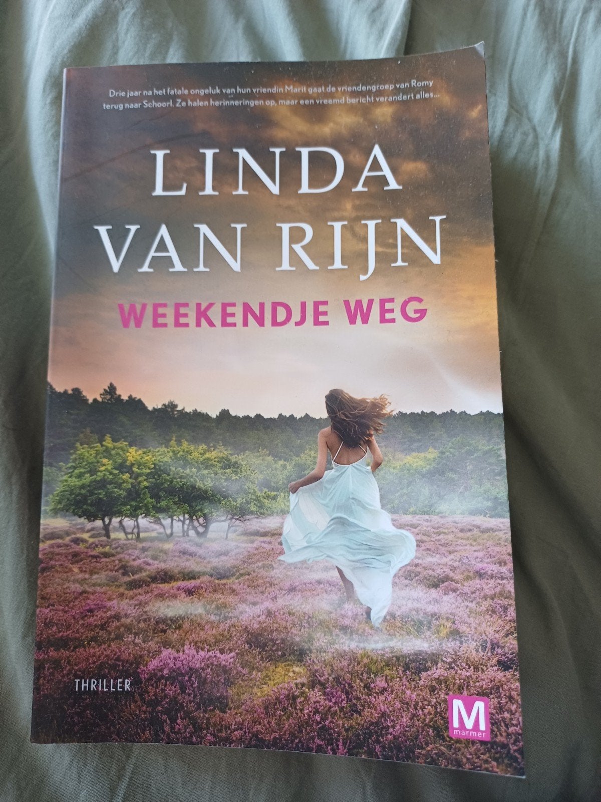 Weekendje Weg - Linda van Rijn (Thriller), Boeken, Ophalen of Verzenden, Zo goed als nieuw, Linda van Rijn