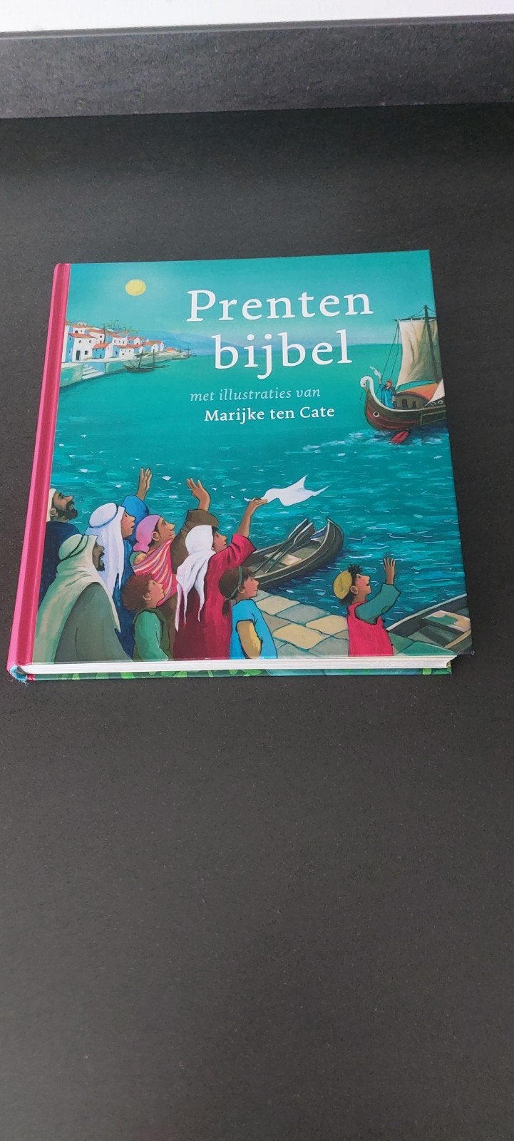 Prentenbijbel. Marijke ten Cate, Boeken, Ophalen of Verzenden, Gelezen, Fictie algemeen