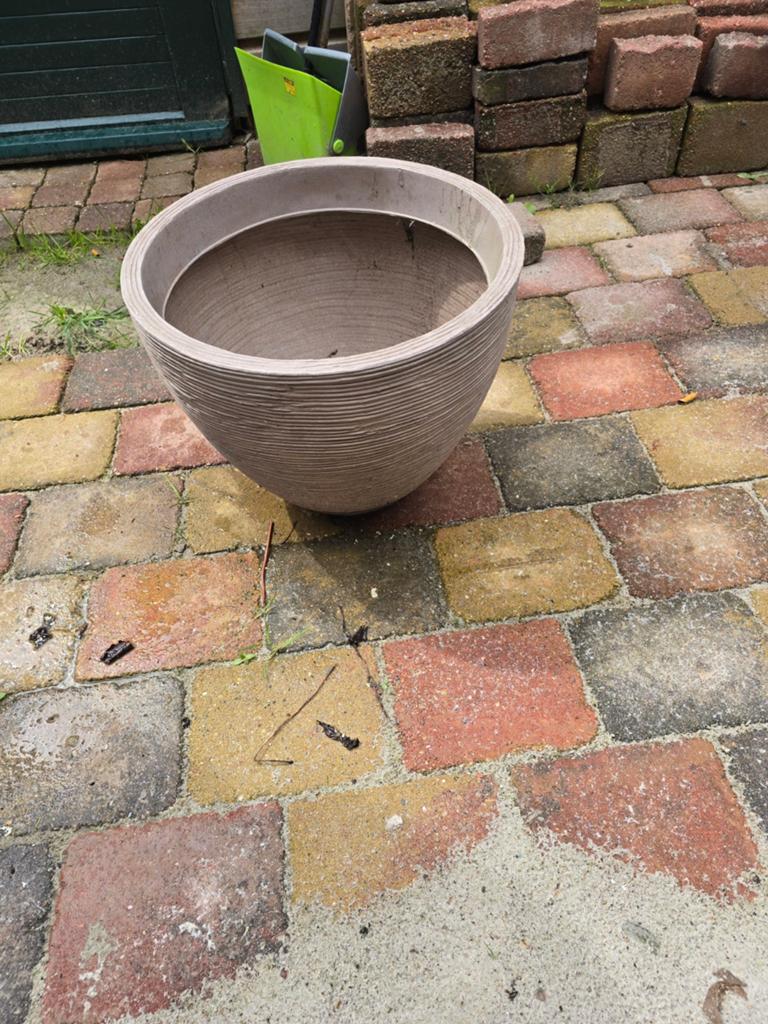 bloempot + 3 tonnetjes, Ophalen, Zo goed als nieuw, Overige typen