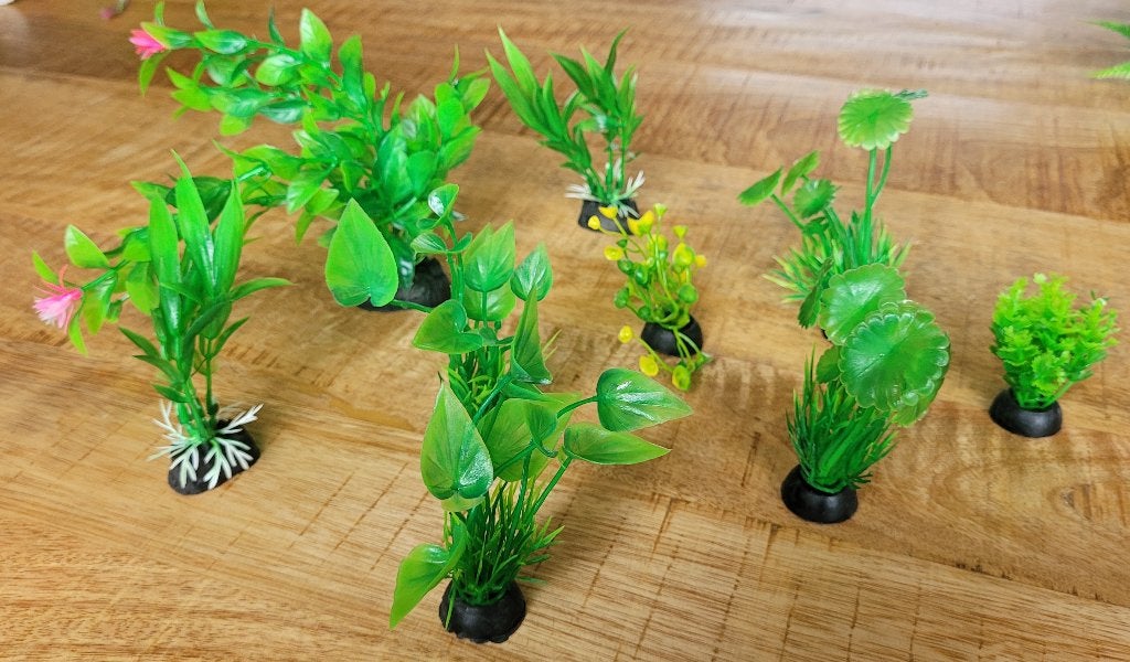 Nieuw! waterplantjes waterplanten plantjes voor aquarium, Ophalen of Verzenden, Nieuw, Plant(en), Steen of Hout