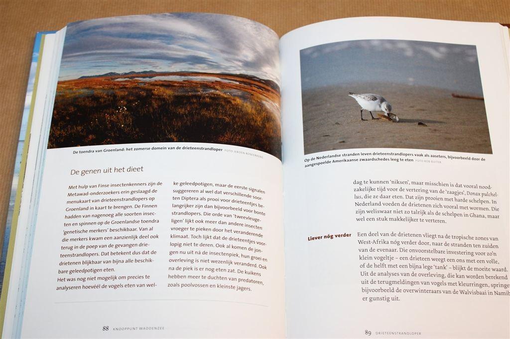 Knooppunt Waddenzee — Over Trekvogels en Voedselwebben, Ophalen of Verzenden, Zo goed als nieuw, Vogels