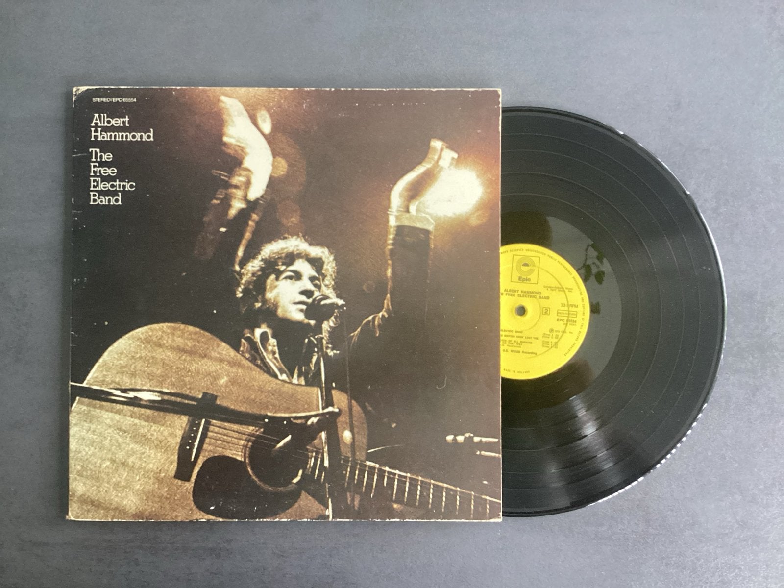 Albert Hammond - The Free Electric Band (LP), Cd's en Dvd's, Ophalen of Verzenden, 12 inch, LP