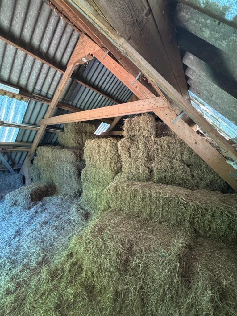 Hooibalen te koop -  van kruidenrijk langgras, Ophalen, Vee