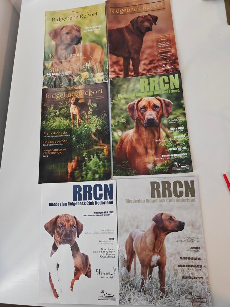 7 Bladen van Rhodesian Ridgeback Club Nederland (RRCN), Ophalen of Verzenden, Gelezen, Overige typen