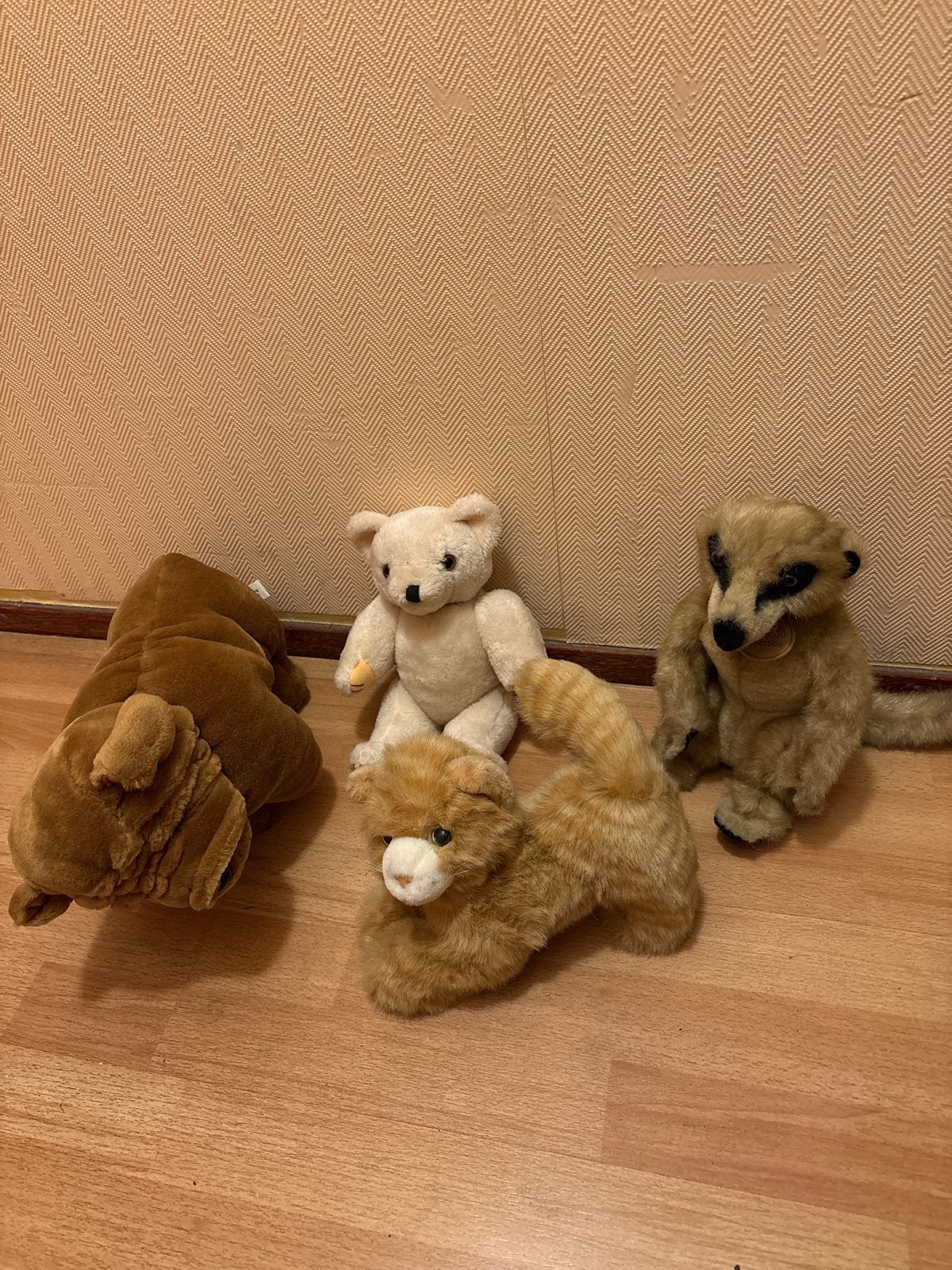 Leuke knuffels: beer, kat, stokstaartje en hond, Gebruikt, Overige merken, Overige karakters, Beer