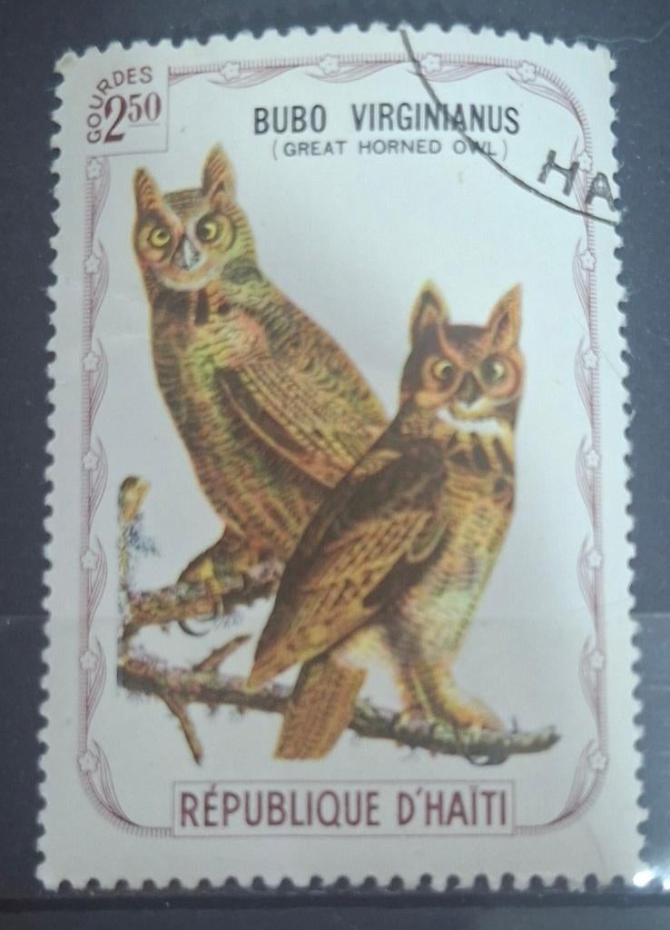 Haiti Uilen Postzegel (B1-P12), Ophalen of Verzenden, Gestempeld, Midden-Amerika