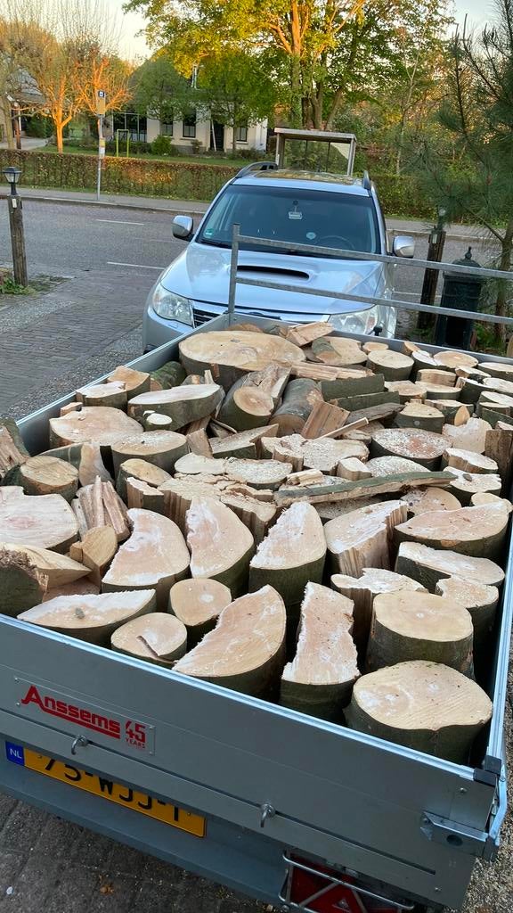 Beukenhout, Tuin en Terras, Haardhout, Minder dan 3 m³, Ophalen
