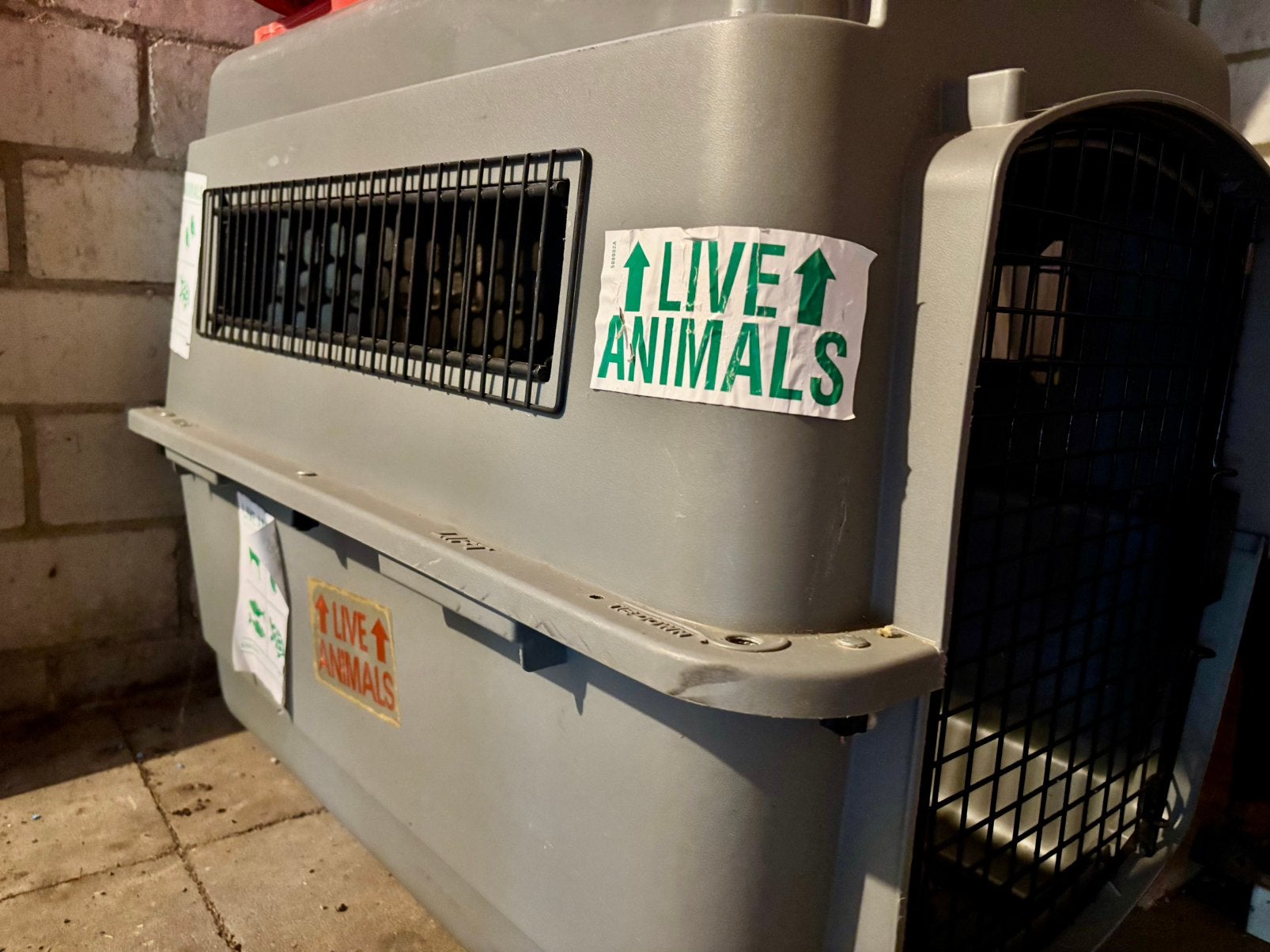 Vliegtuigkennel hond goedgekeurd model IATA, Ophalen, Gebruikt