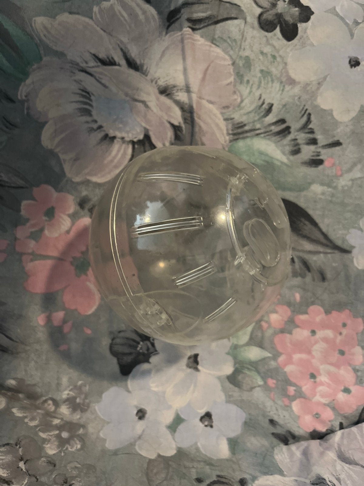Hamster loop bal (klein)., Ophalen