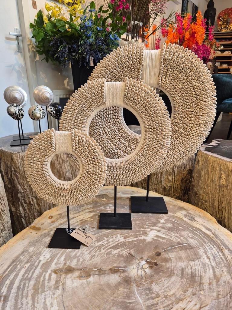 Schelpenketting kauri rond op standaard, Ophalen of Verzenden