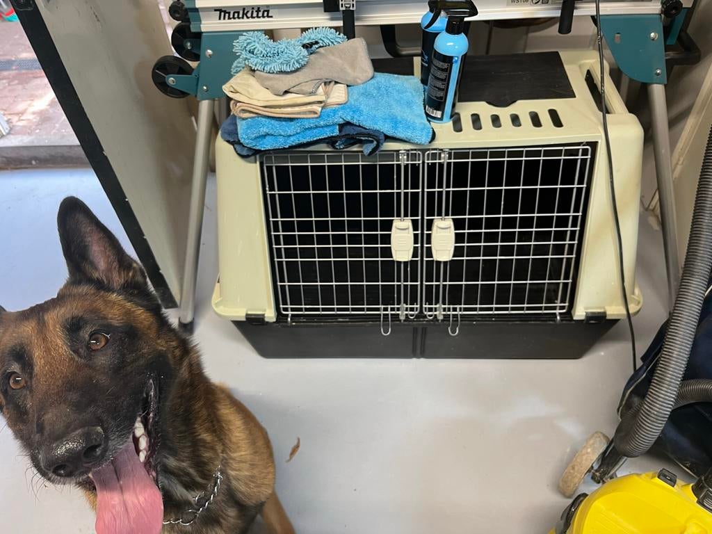 Honden bench groot voor in de auto, Dieren en Toebehoren, Ophalen, Zo goed als nieuw
