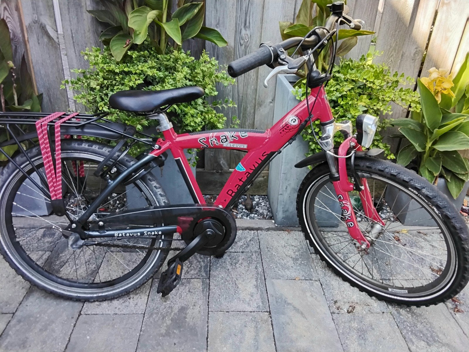 batavus snake 22 inch 3v, Ophalen, Zo goed als nieuw, 20 inch of meer, Batavus