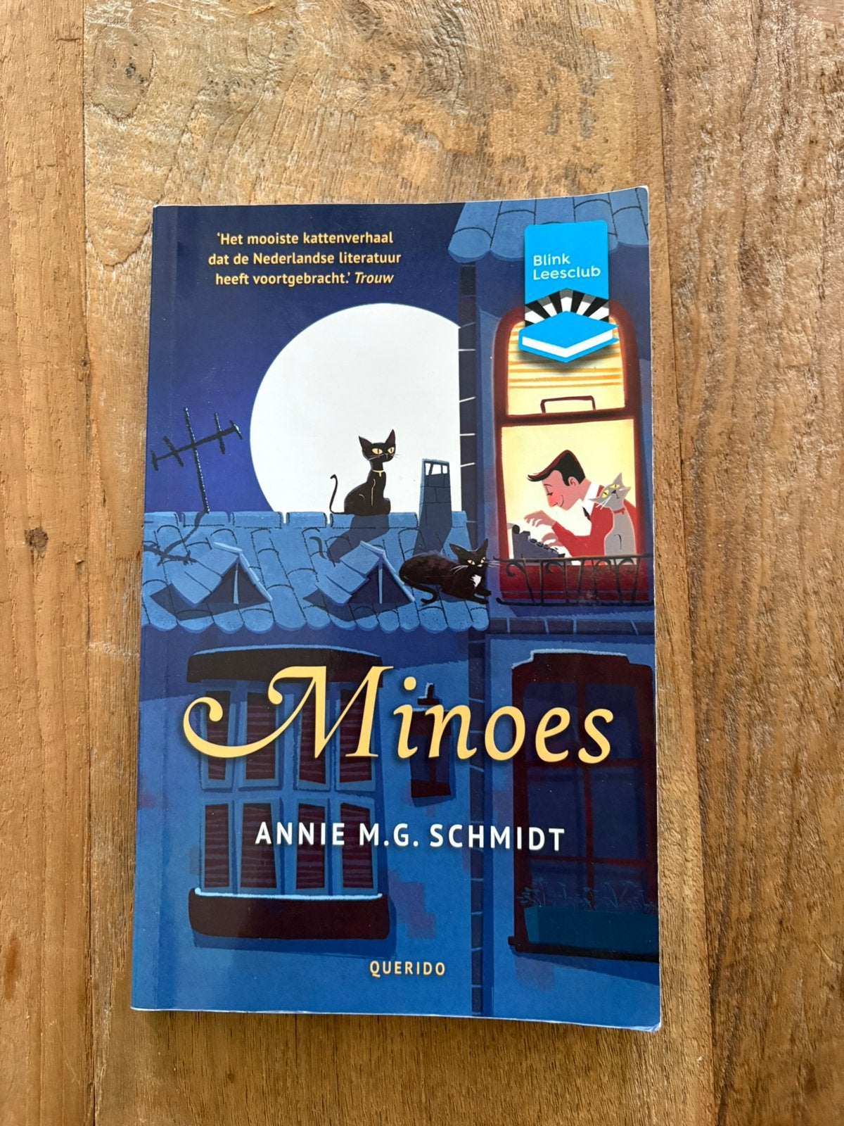 Minoes van Annie M.G. Schmidt, Ophalen of Verzenden, Zo goed als nieuw, Fictie
