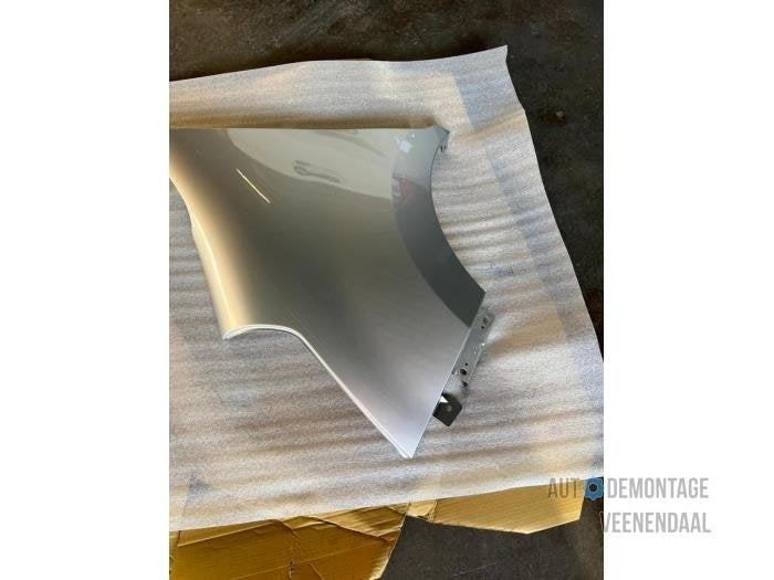 Scherm links-voor van een Renault Master (TEKNH), -, Renault, -, Nieuw