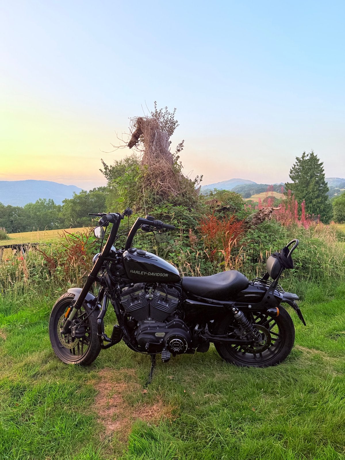 Harley Davidson Roadster Sportster 1200 - 2017, Motoren, 2 cilinders, Gebruikt, Particulier, Meer dan 35 kW