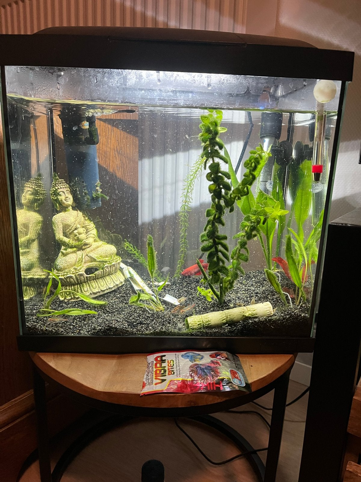 Aquarium, Dieren en Toebehoren, Ophalen of Verzenden