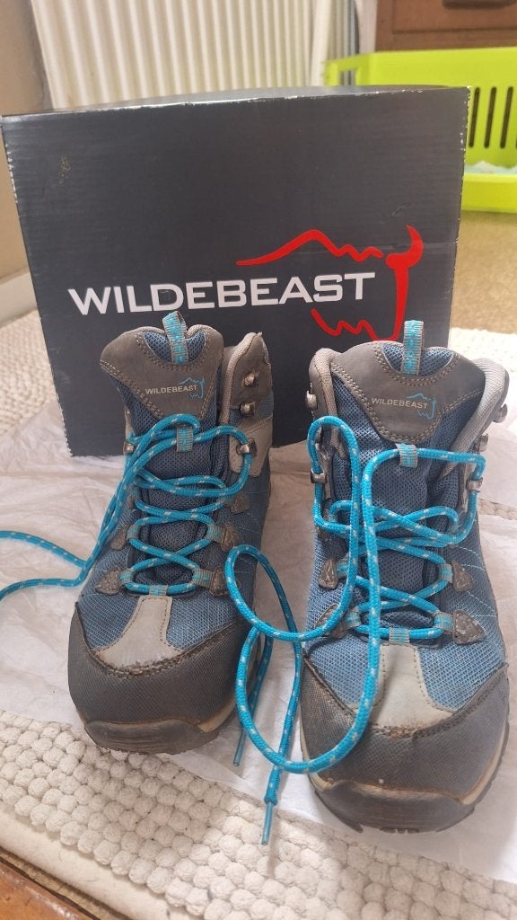 Wandelschoenen, Ophalen, Gebruikt, Schoenen